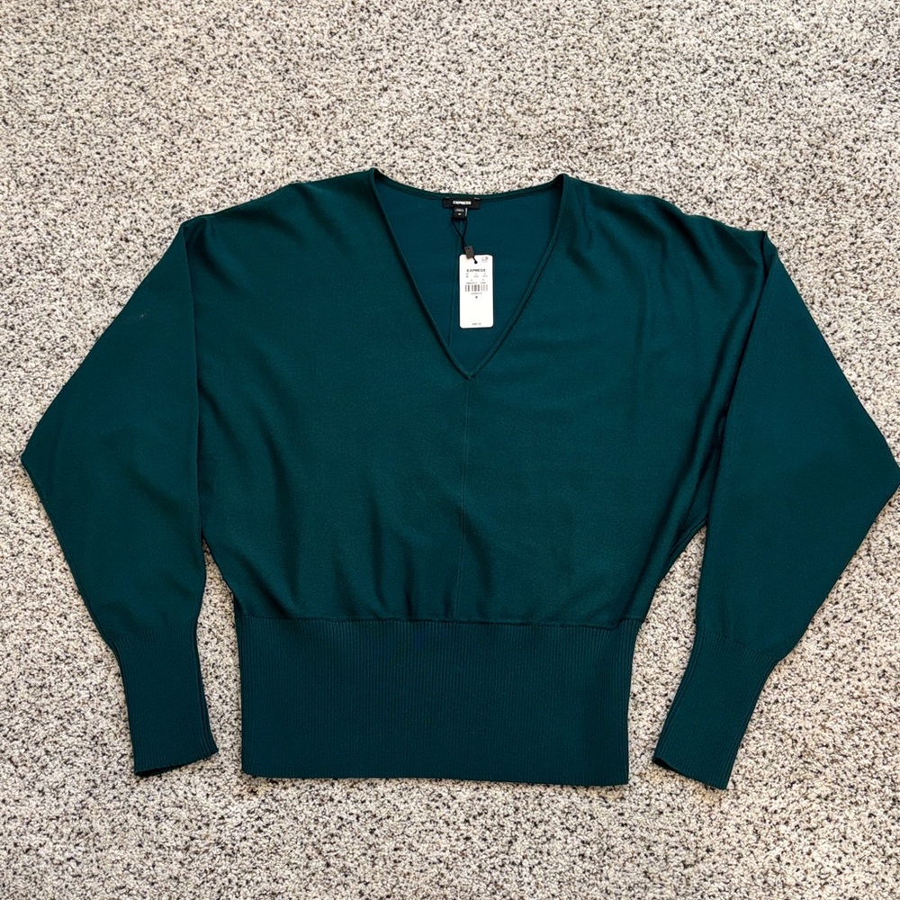 NWT Express Deep Teal V-Neck Sweater, size medium.